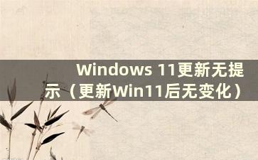 Windows 11更新无提示（更新Win11后无变化）